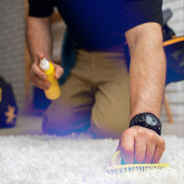 upholstery-cleaning Upholstery cleaning Johannesburg